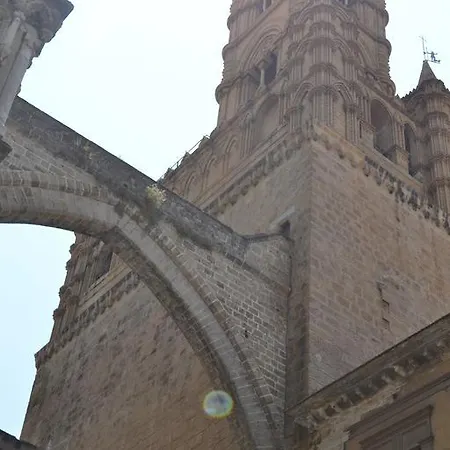 Dei Gelsi Palermo
